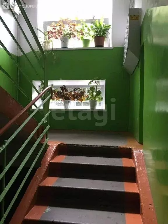 2-комнатная квартира: Омск, улица 20-я Линия, 55А (43 м) - Фото 2