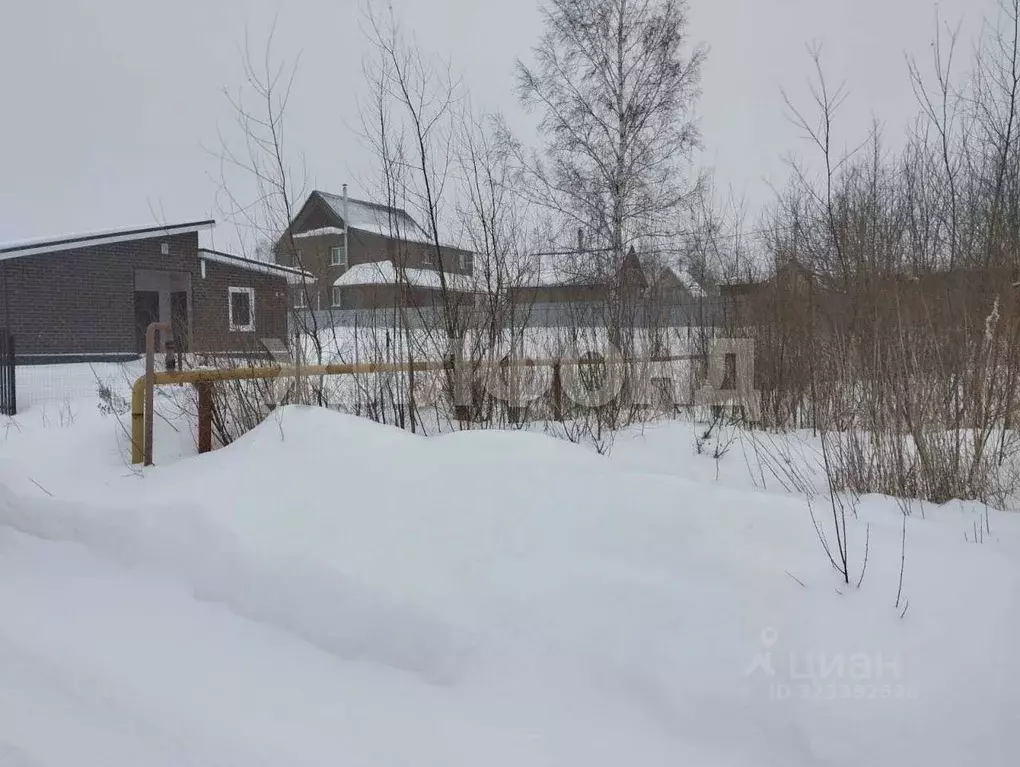 Участок в Новосибирская область, Новосибирский район, Криводановский ... - Фото 2
