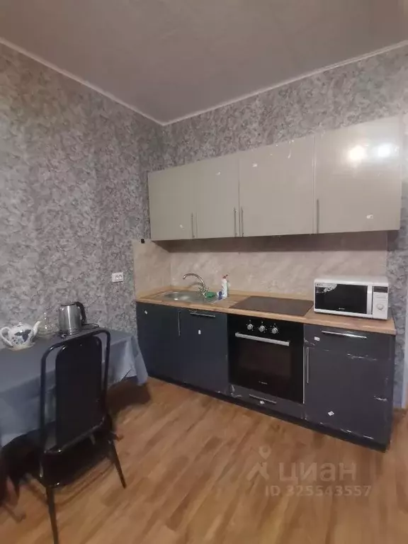 Студия Ленинградская область, Колтуши Всеволожский район, ул. Иоанна ... - Фото 1