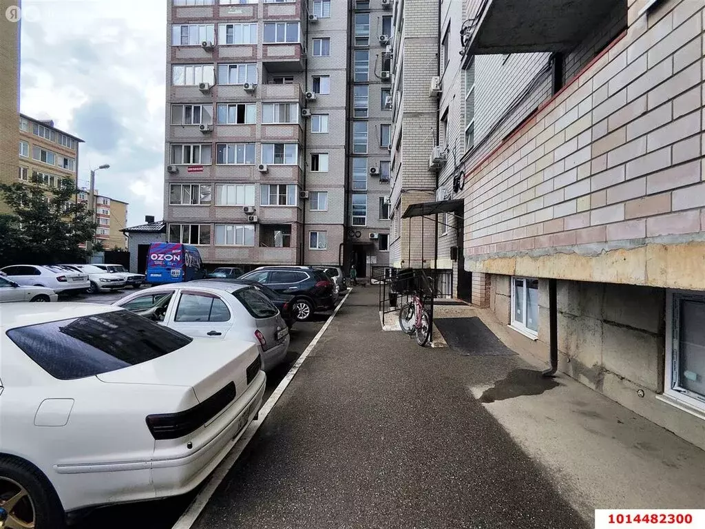 Квартира-студия: посёлок Российский, улица Куликова Поля, 17 (22.4 м) - Фото 1