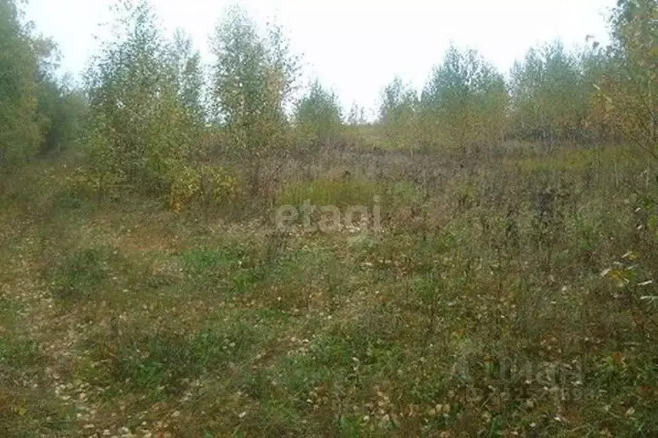 Участок в Хабаровский край, Хабаровский район, с. Сосновка Шоссейный ... - Фото 0