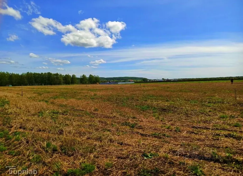 Участок в Башкортостан, Иглинский район, Калтымановский сельсовет, с. ... - Фото 1