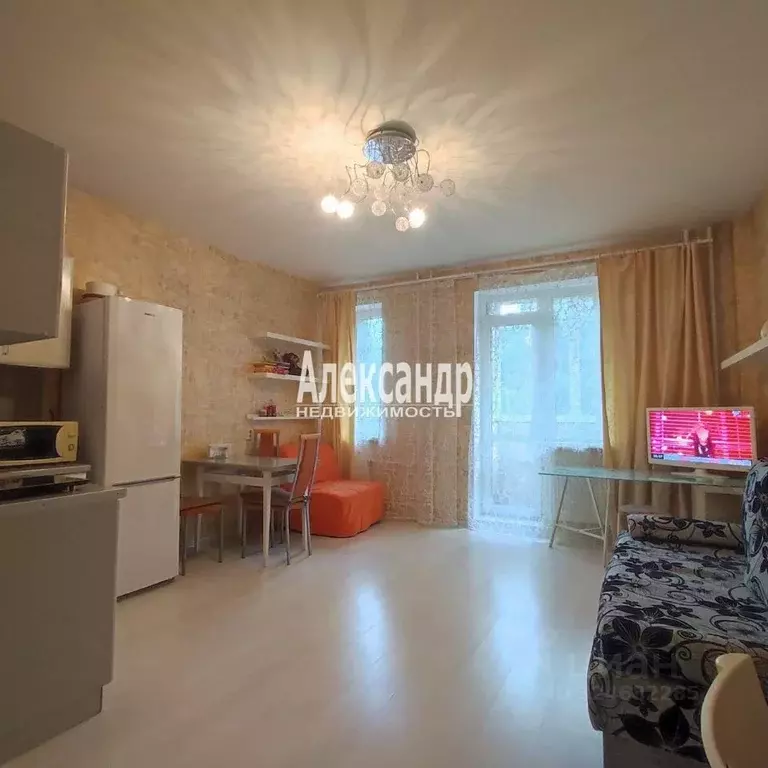 Студия Санкт-Петербург ул. Ушинского, 33к3 (32.0 м) - Фото 1