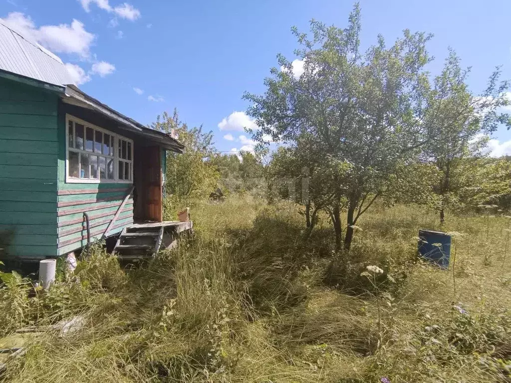 Участок в Смоленская область, Гагаринский муниципальный округ, Сетунь ... - Фото 1