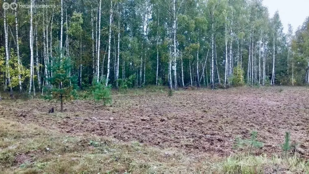 Участок в Заокский район, сельское поселение Страховское, деревня ... - Фото 0