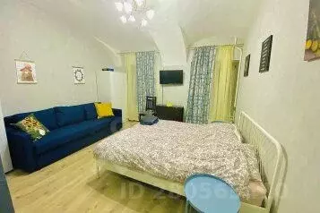 1-к кв. Санкт-Петербург ул. Маяковского, 22-24 (27.0 м) - Фото 0