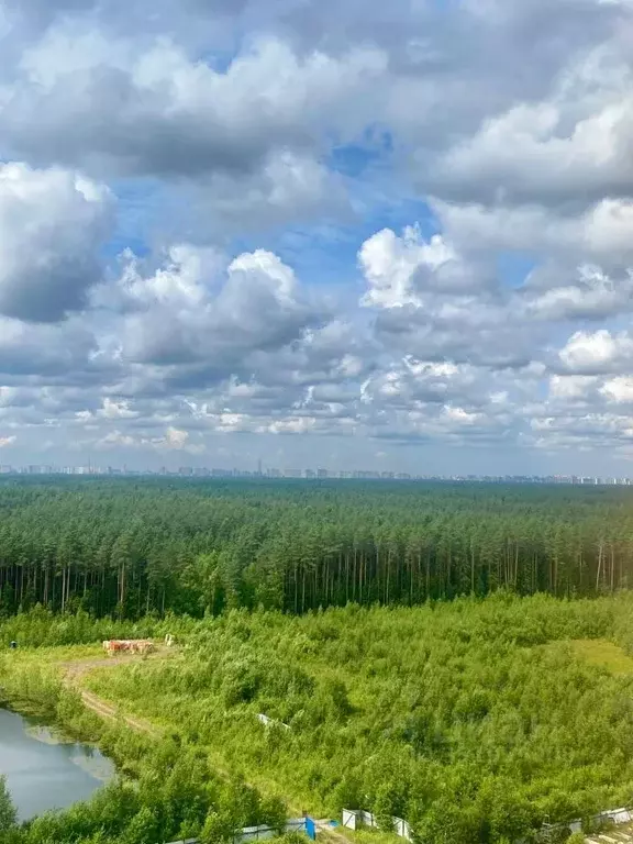 1-к кв. Ленинградская область, Всеволожск ш. Дорога Жизни, 7к2 (30.5 ... - Фото 2