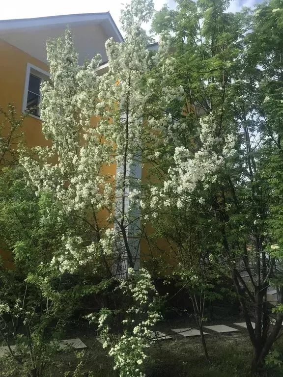 Дом в Якутск, Сергеляхское шоссе, 7-й километр, 29 (340 м) - Фото 1