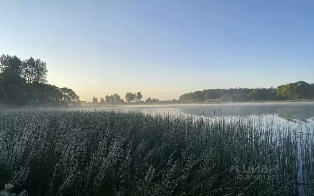 участок в московская область, наро-фоминский городской округ, д. . - Фото 1