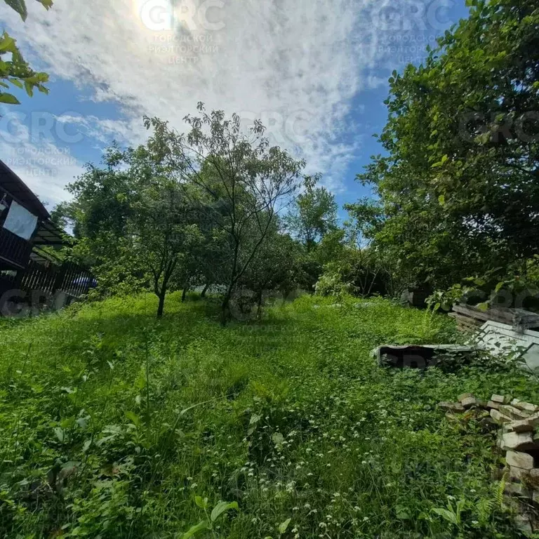 Участок в Краснодарский край, Сочи городской округ, с. Вардане-Верино ... - Фото 0