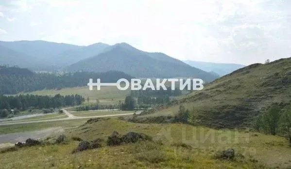 Помещение свободного назначения в Алтай, Онгудайский район, с. Туекта ... - Фото 0