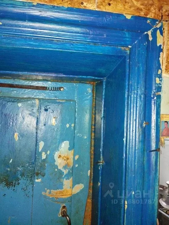 Помещение свободного назначения в Брянская область, Клинцовский район, ... - Фото 1