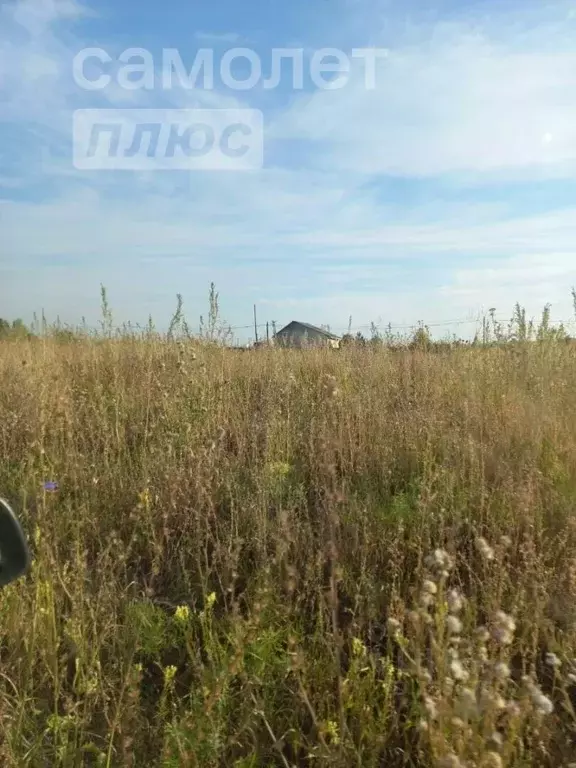 СНТ Сатурн Оренбург. Облепиха Оренбург, СНТ Сатурн, улица 13-я линия фото. Облепиха Оренбург, СНТ Сатурн, улица 13-я линия фото и видео.