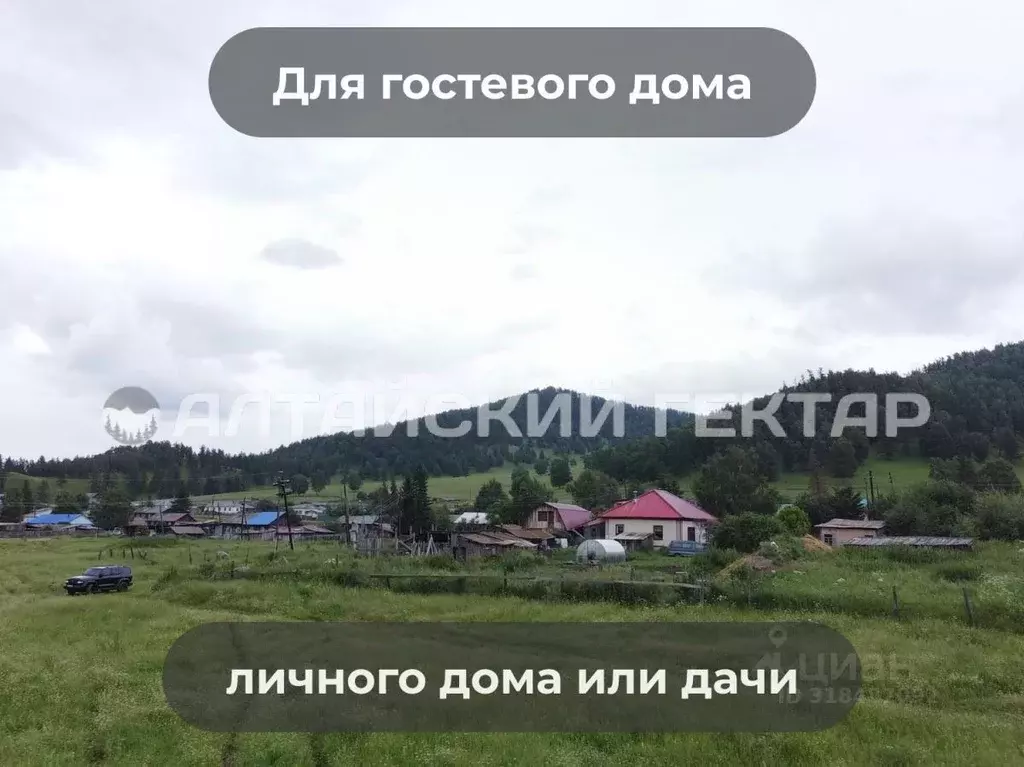 Участок в Алтай, Шебалинский район, с. Дъектиек ул. Школьная (14.99 ... - Фото 1