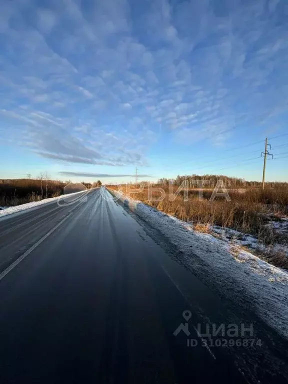 Участок в Тюменская область, Нижнетавдинский район, пос. Торгили ... - Фото 0