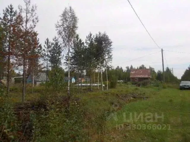 Участок в Коми, Сыктывкар городской округ, пос. Верхний Мыртыю ул. ... - Фото 1
