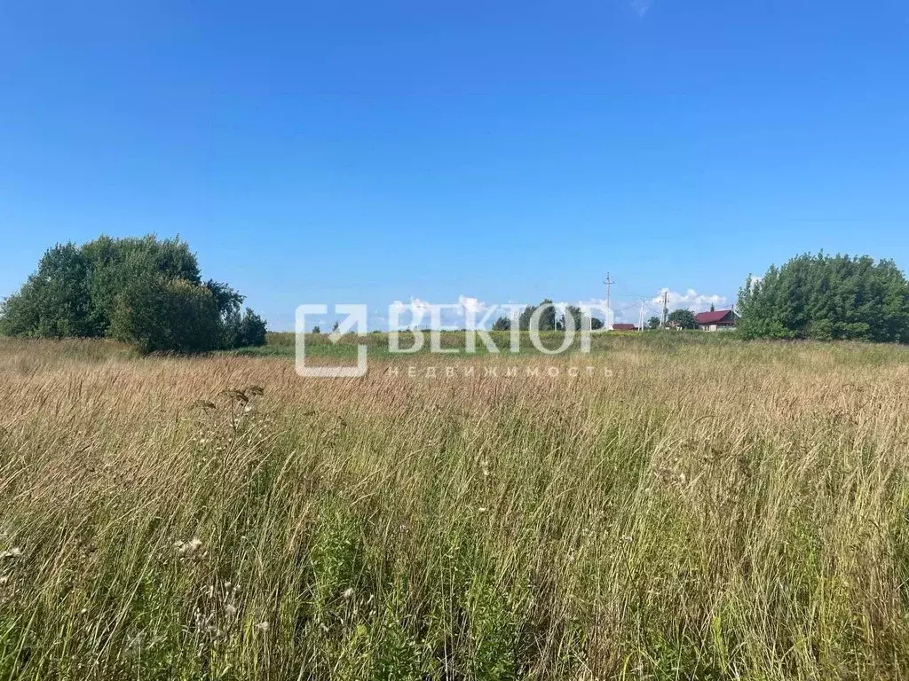 Участок в Костромская область, Костромской район, Шунгенское с/пос, д. ... - Фото 2