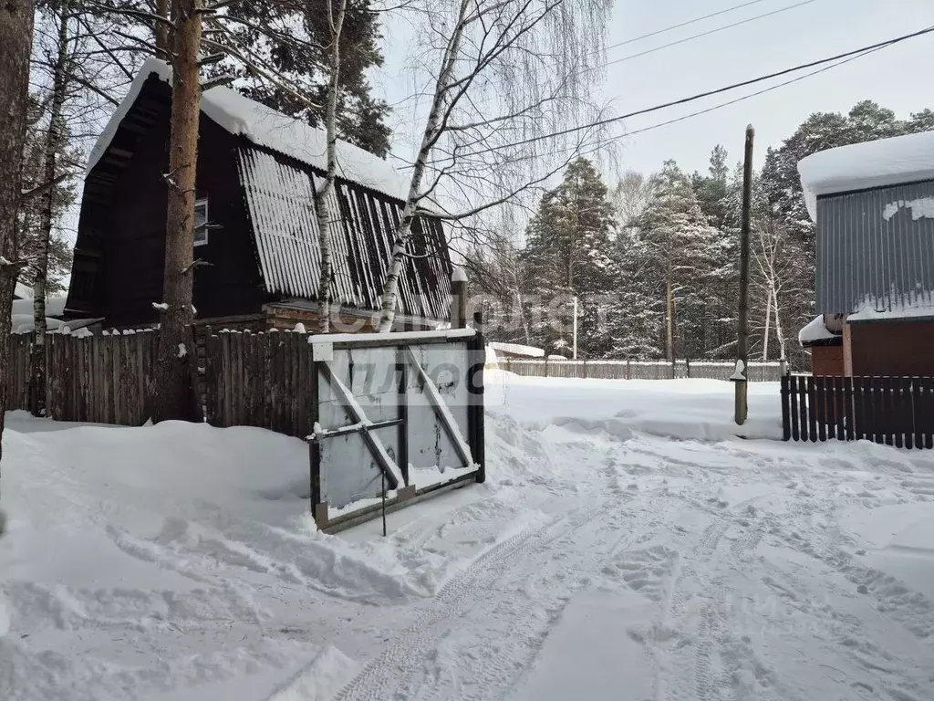 Дом в Свердловская область, Екатеринбург Кедр СНТ, 14 (42 м) - Фото 2