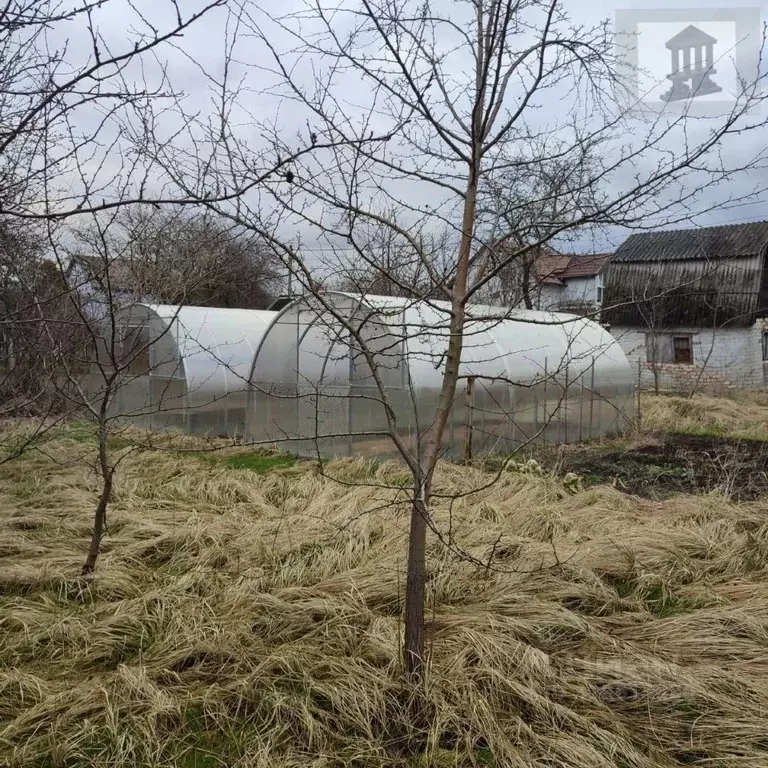 Участок в Калининградская область, Гурьевск Урожай СНТ, 107А (5.55 ... - Фото 1