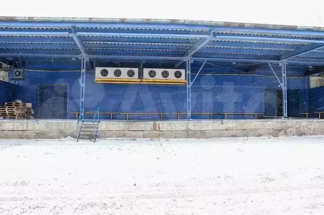 Склад в Новосибирская область, Новосибирский район, Мочищенский ... - Фото 1