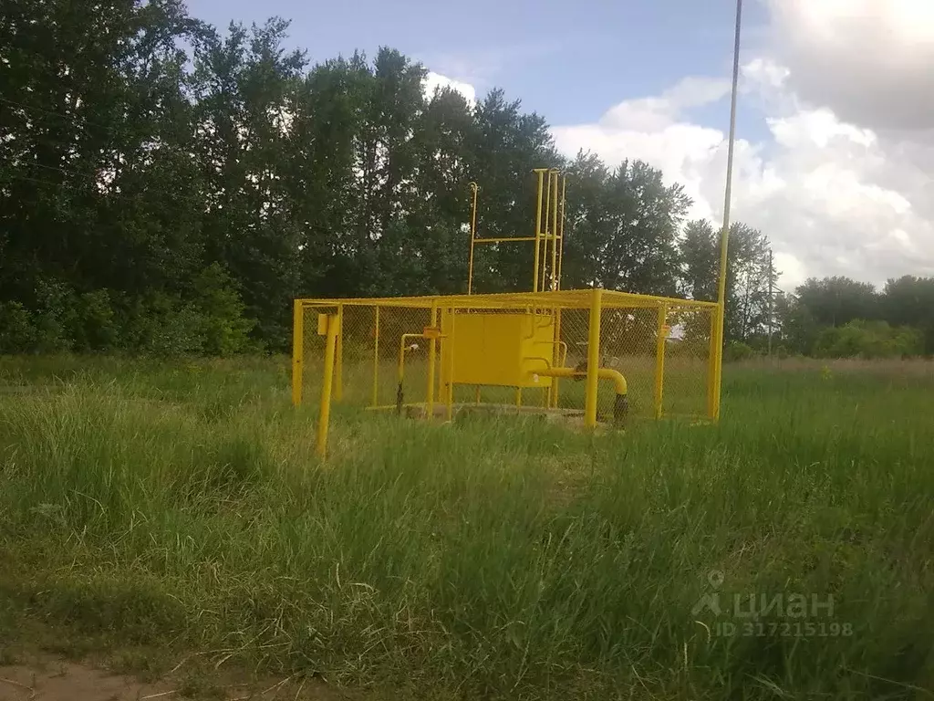 Участок в Омская область, Омский район, с. Усть-Заостровка, Иртышские ... - Фото 1