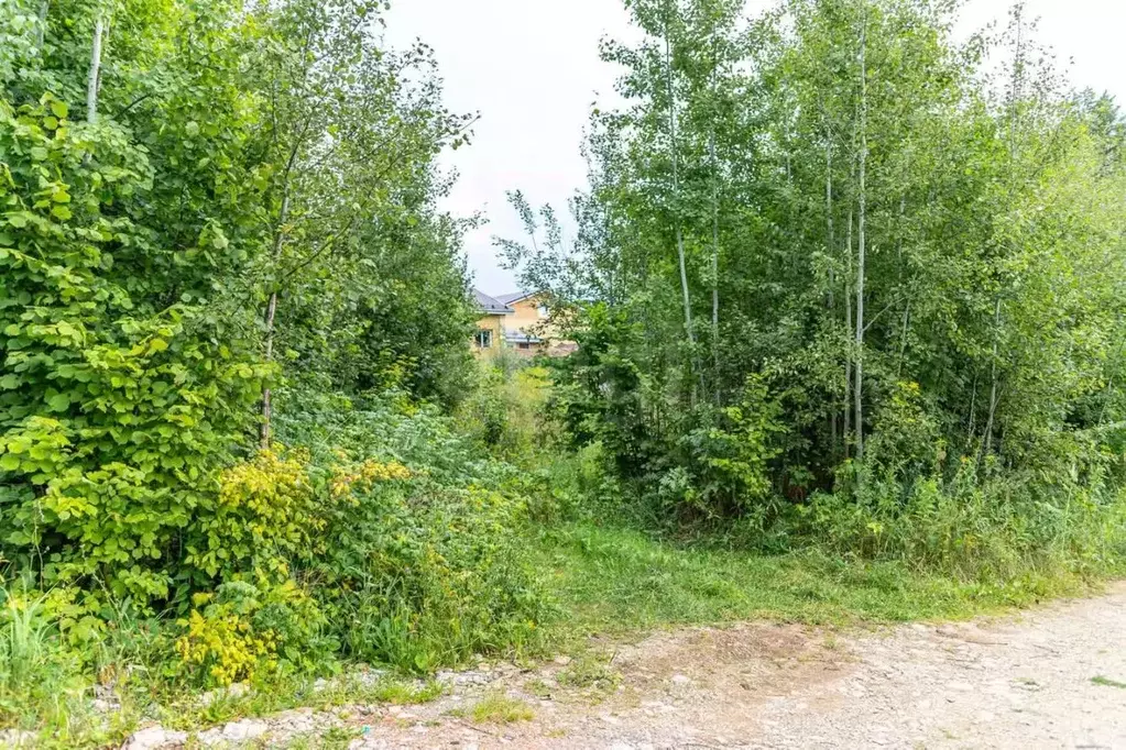 Участок в Татарстан, Тукаевский район, Малошильнинское с/пос, Сосновый ... - Фото 1