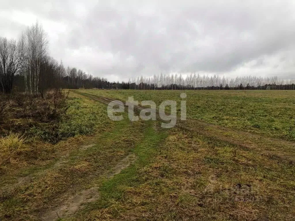 Участок в Костромская область, Красное-на-Волге городское поселение, ... - Фото 1