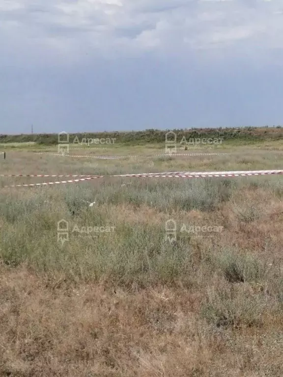 Участок в Волгоградская область, Светлоярский район, Дубовоовражное ... - Фото 1