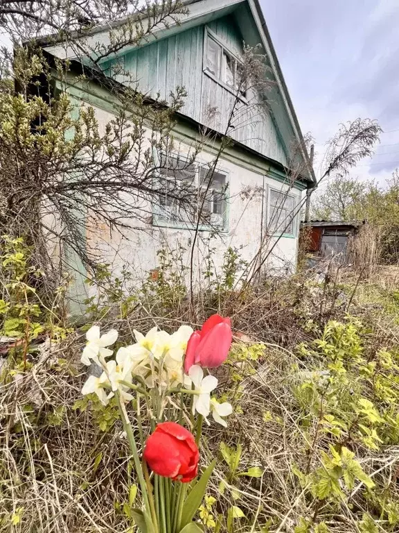 Дом в Чувашия, Моргаушский муниципальный округ, Пищевик СНТ  (30 м) - Фото 1