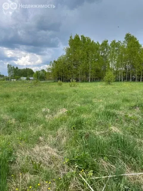 Участок в Кировская область, Орловское сельское поселение, деревня ... - Фото 2