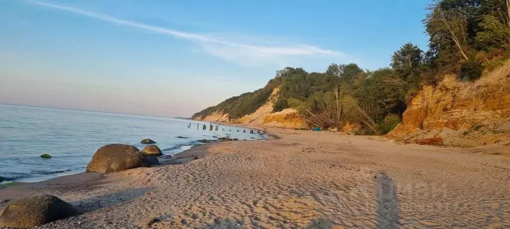 2-к кв. Калининградская область, Светлогорск пос. Отрадное, просп. ... - Фото 1