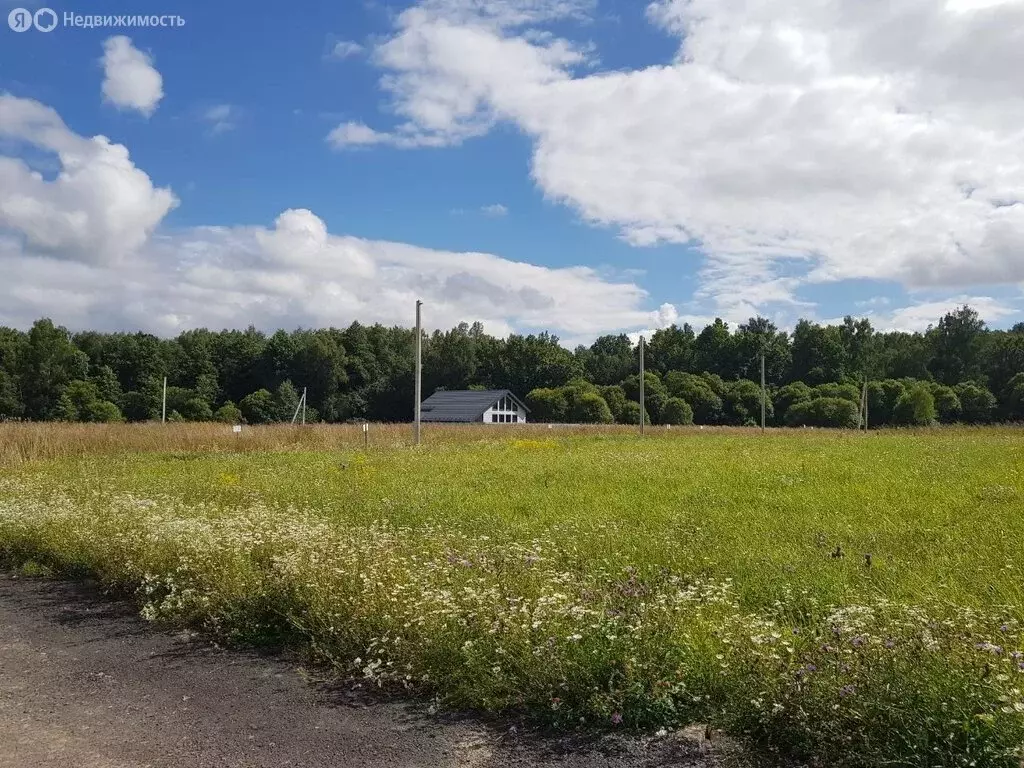 Участок в Московская область, городской округ Серпухов, деревня Правое ... - Фото 1