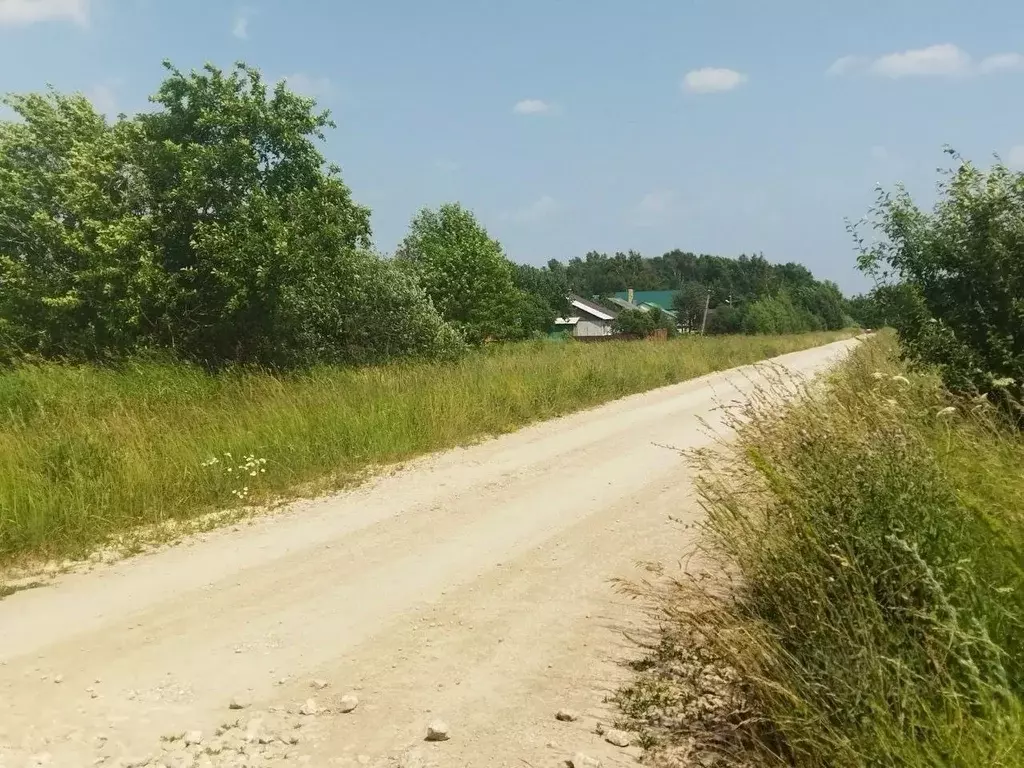 Участок в Тульская область, Ясногорский район, Иваньковское с/пос, д. ... - Фото 2