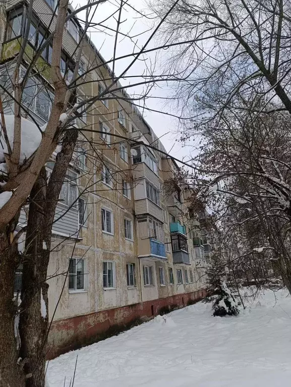 1-к кв. Московская область, Ногинск Богородский городской округ, пер. ... - Фото 2