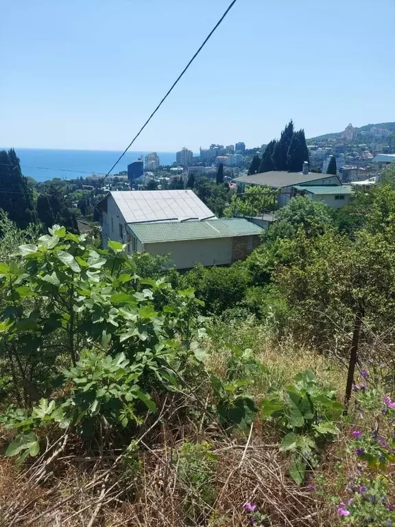 Участок в Крым, Ялта ул. Войкова, 12 (6.0 сот.) - Фото 1