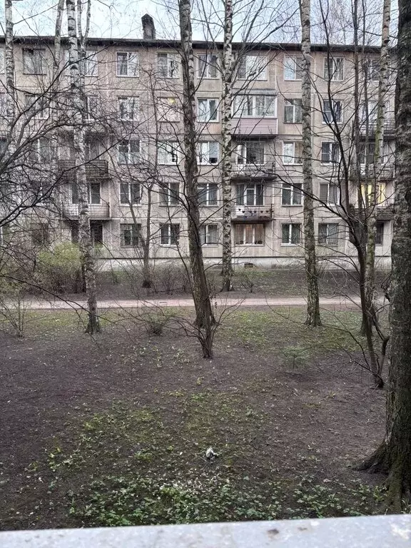 3-комнатная квартира: Санкт-Петербург, проспект Маршала Блюхера, 38к2 ... - Фото 1