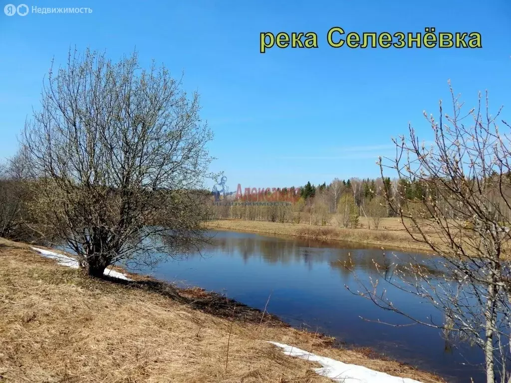 Участок в Выборгский район, Селезнёвское сельское поселение, посёлок ... - Фото 0