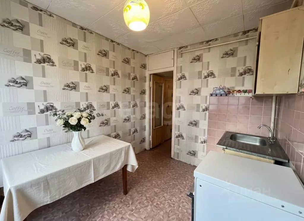 1-к кв. Московская область, Зарайск муниципальный округ, д. Алферьево ... - Фото 2