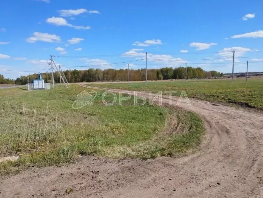 Участок в Тюменская область, Тюменский район, с. Кулига  (299.43 сот.) - Фото 0