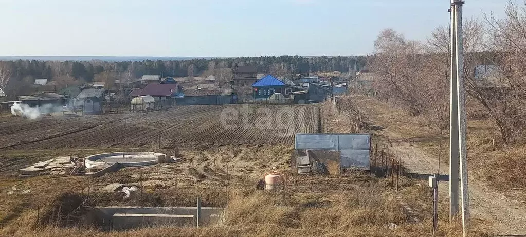 Участок в Новосибирская область, Искитимский район, с. Тальменка  (6.6 ... - Фото 0