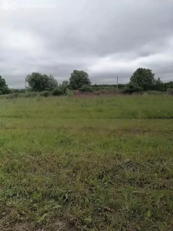 Участок в Кипенское сельское поселение, деревня Глухово (200 м) - Фото 2