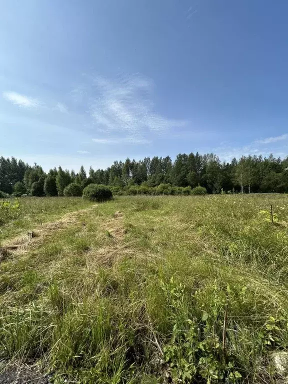 Участок в Псковская область, Псков Терехово мкр,  (15.0 сот.) - Фото 1
