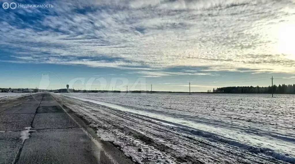 Участок в Тюменская область, Исетский муниципальный округ, село ... - Фото 2