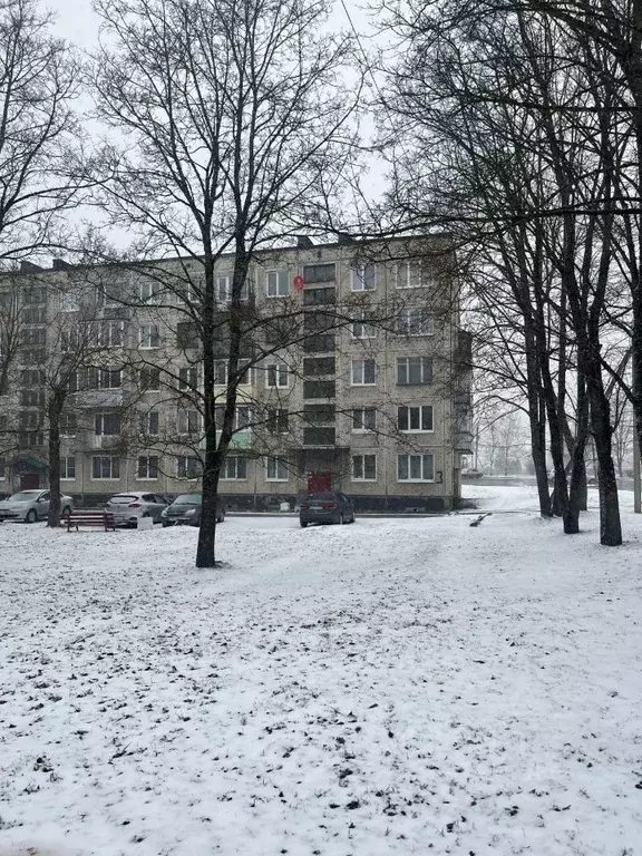 1-к кв. Ленинградская область, Волосовский район, д. Большая Вруда 3 ... - Фото 0