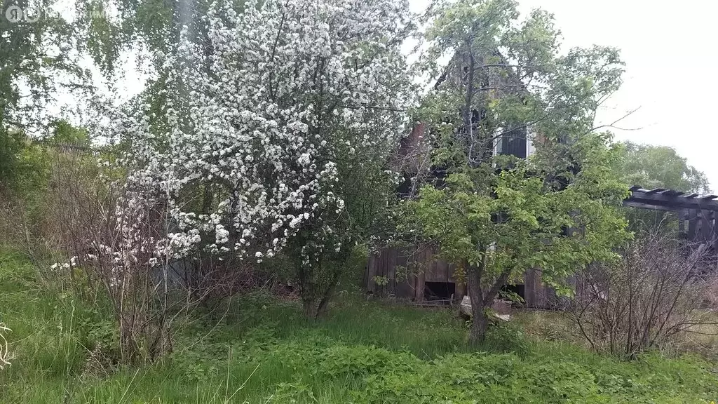 Участок в Емельяновский район, посёлок Солонцы (13 м) - Фото 1