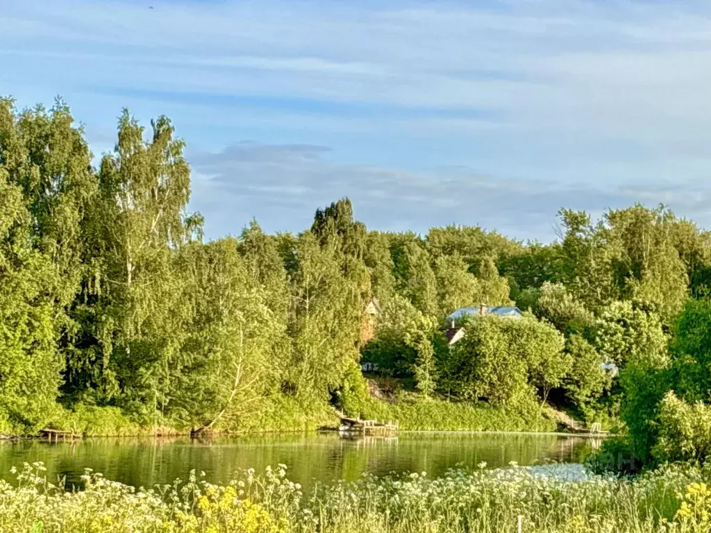 Участок в Московская область, Раменский муниципальный округ, д. ... - Фото 2