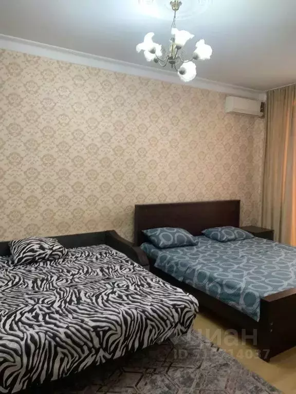 1-к кв. Дагестан, Каспийск ул. М. Халилова, 32 (45.0 м) - Фото 0