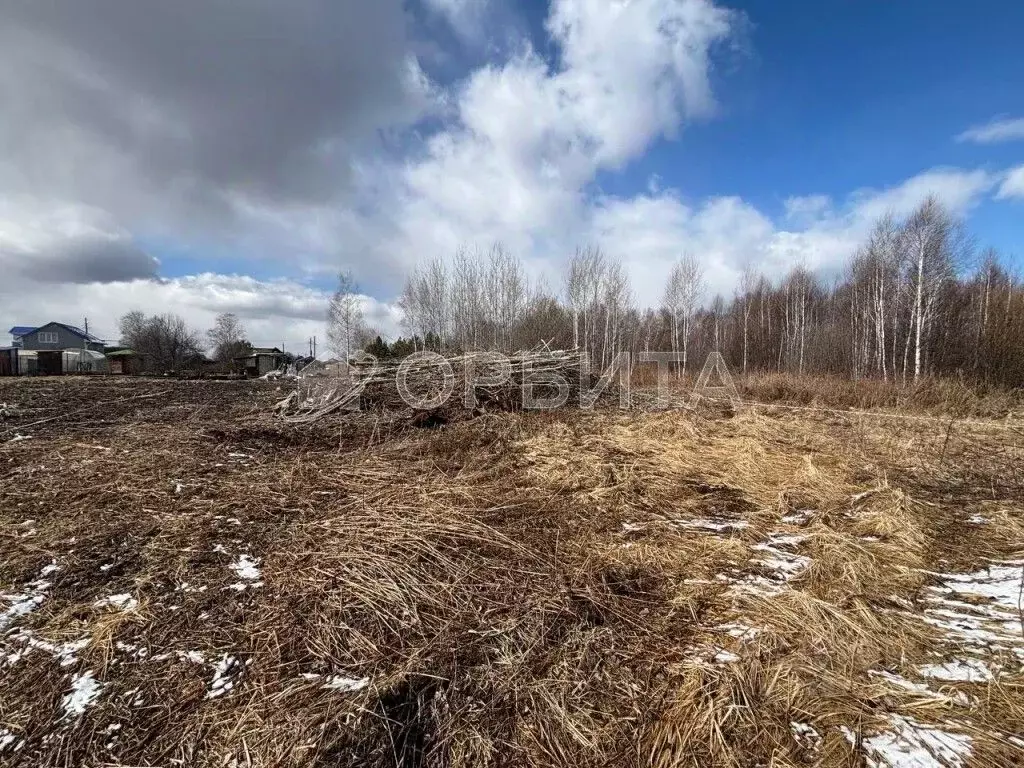 Участок в Тюменская область, Нижнетавдинский район, Строитель ТСН 786 ... - Фото 1