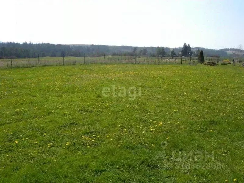 Участок в Свердловская область, Нижний Тагил ул. 2-я Лазурная, 14 ... - Фото 1