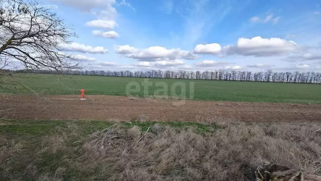 Участок в Сакский район, Ромашкинское сельское поселение, село Колоски ... - Фото 1